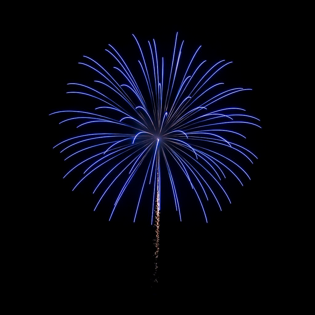 5" Blue Willow Display Shells