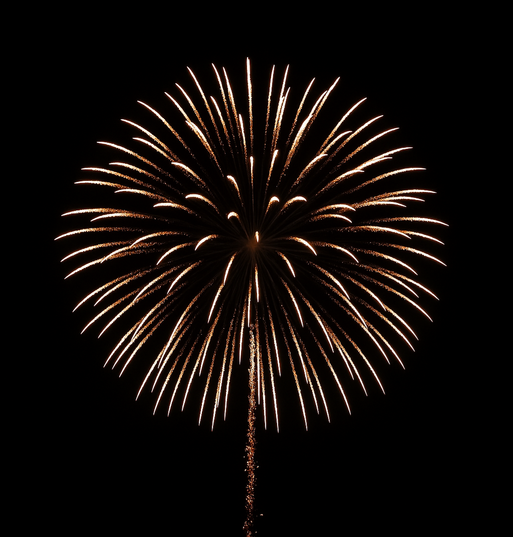 5" White Chrysanthemum Display Shells