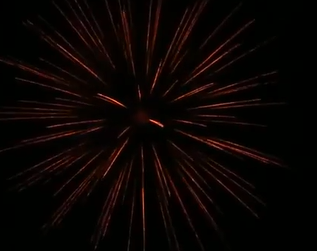 4" Silver Willows - Individual