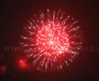 6″ Glittering Chrysanthemum to Chrysanthemum w/ Blood Red Pistil