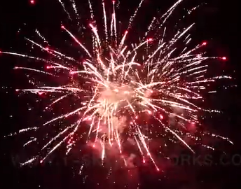 153 Shot Long Duration Cake Box